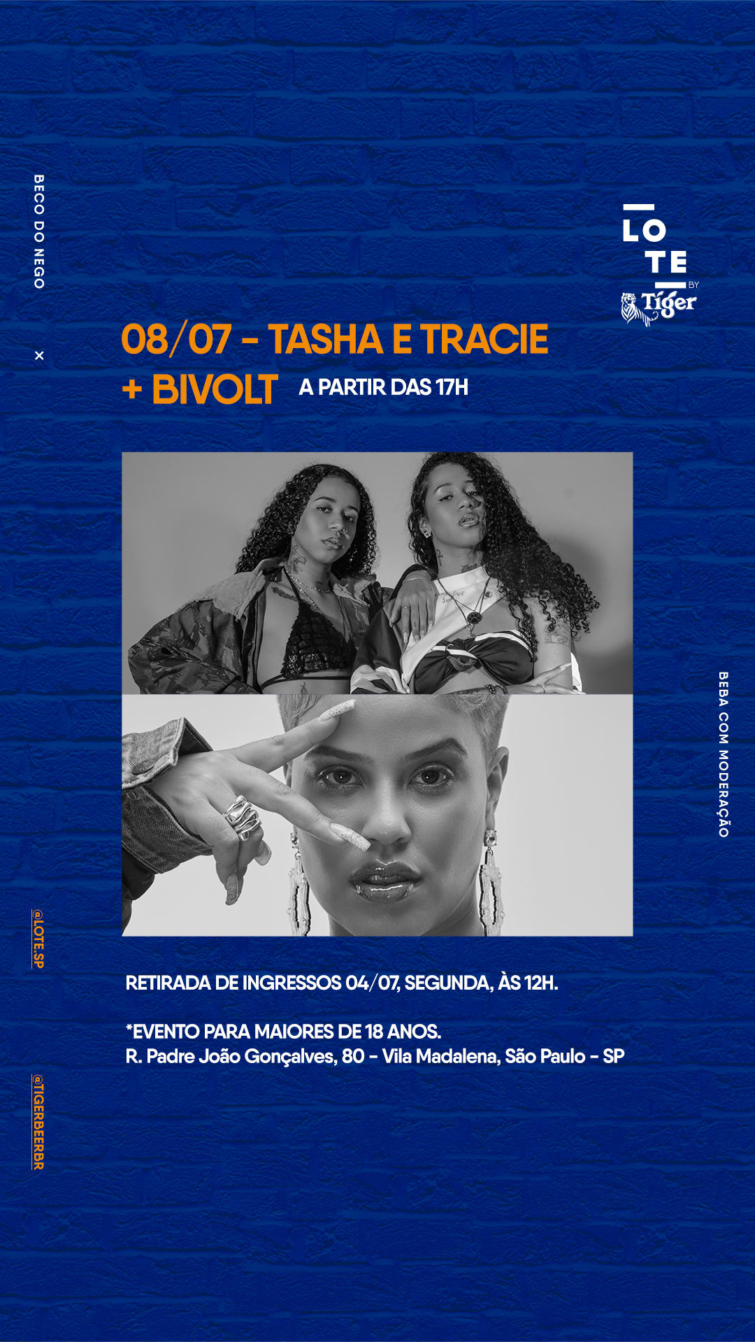 Lote By Tiger Com Tasha & Tracie + Bivolt