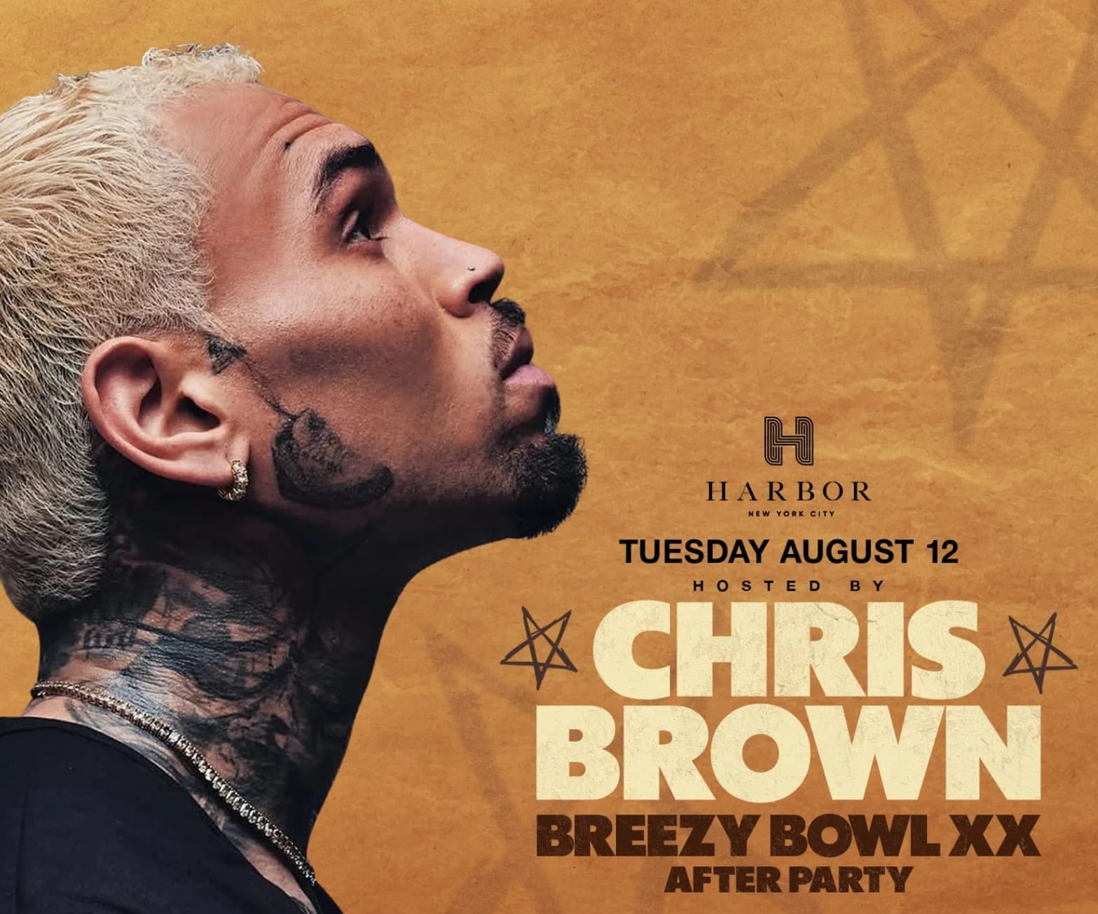 Chris Brown Breeze Bowl XX Tour Harbor Nyc After Party 2025