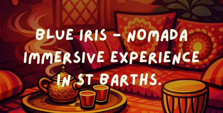 Blue Iris Immersive Experience