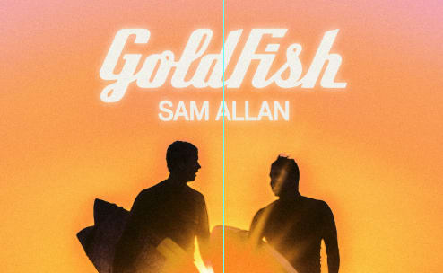 Goldfish @ Flash (Main Room)