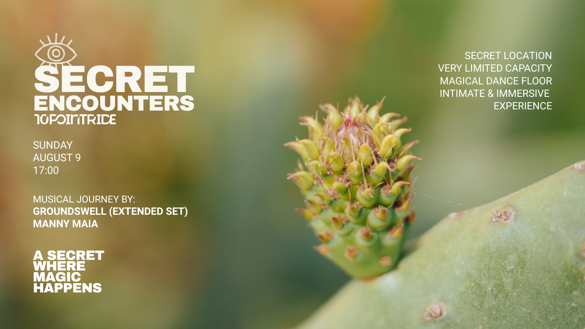 Secret Encounters