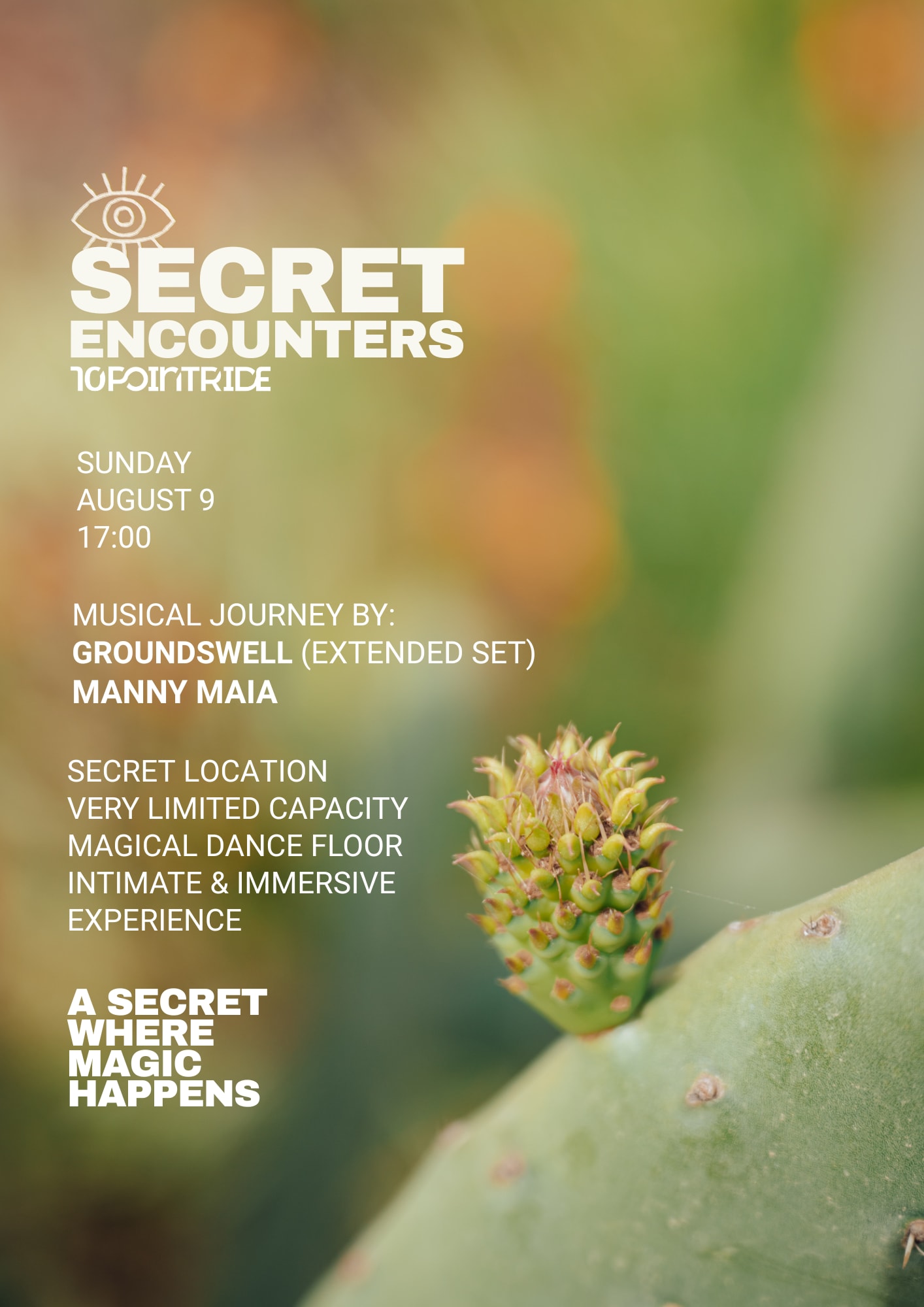 Secret Encounters