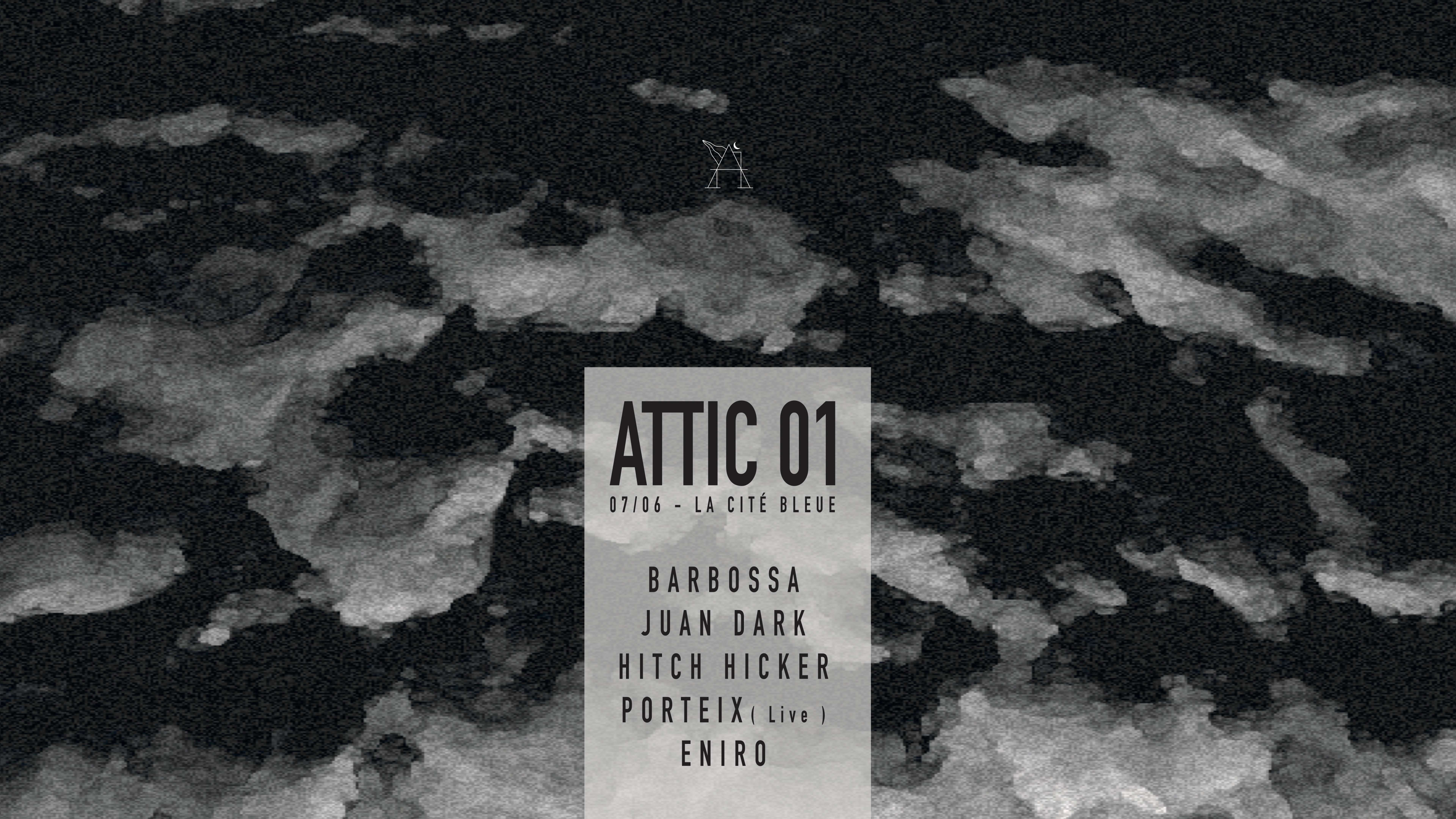 Attic 01