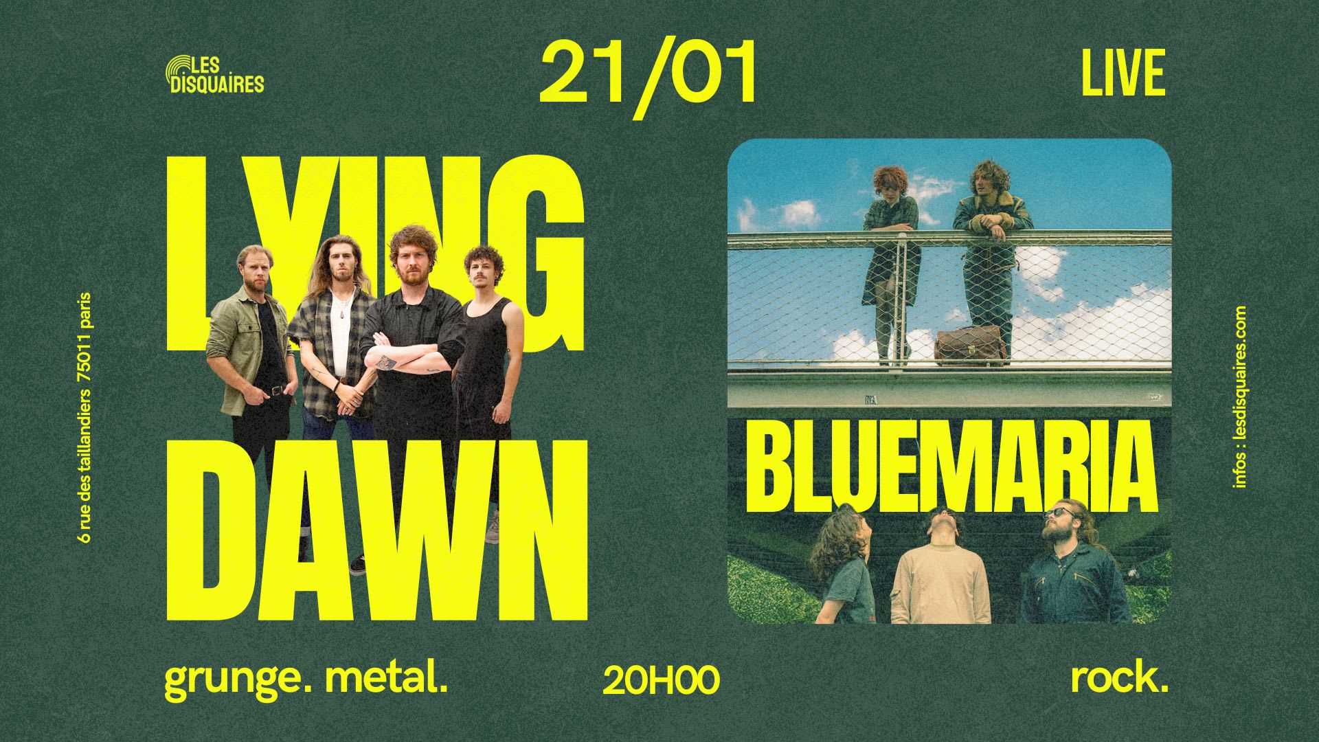 Lying Dawn X Bluemaria - Live