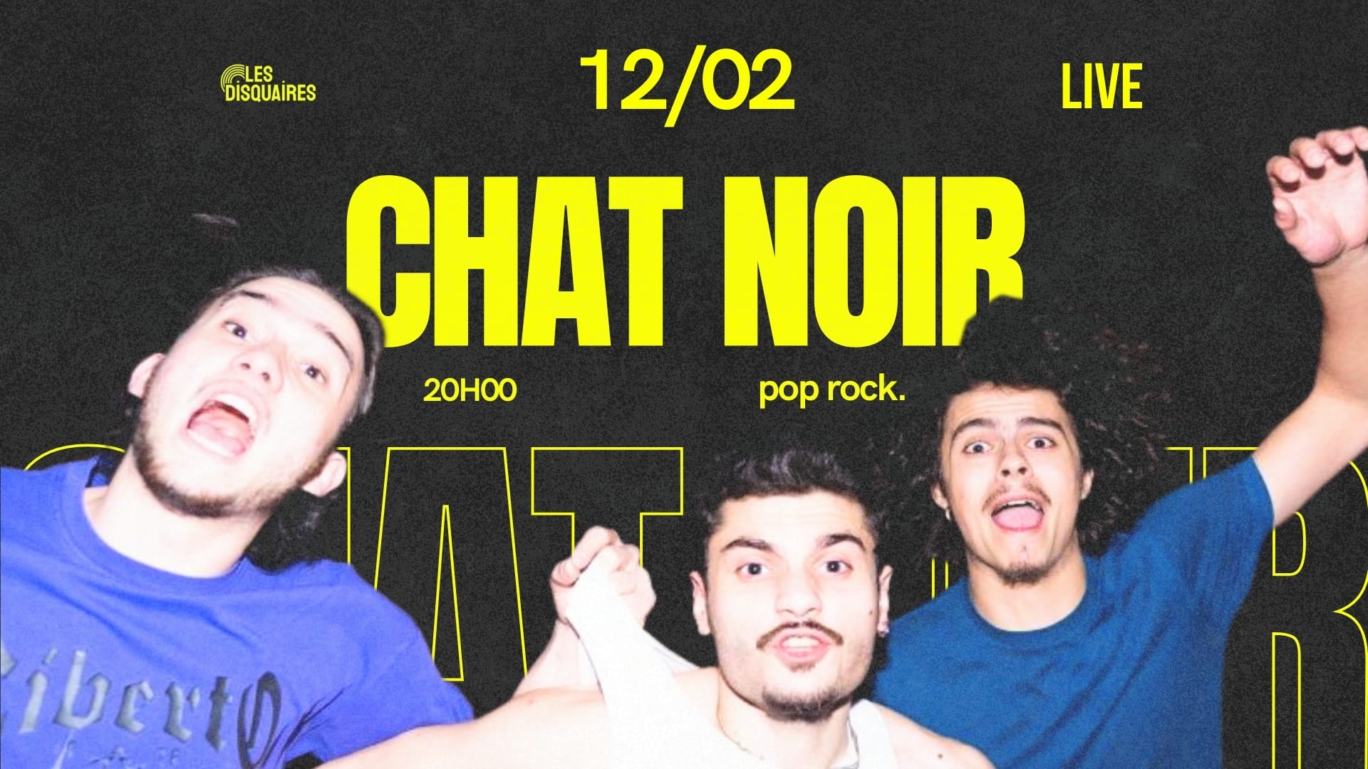 Chat Noir - Live