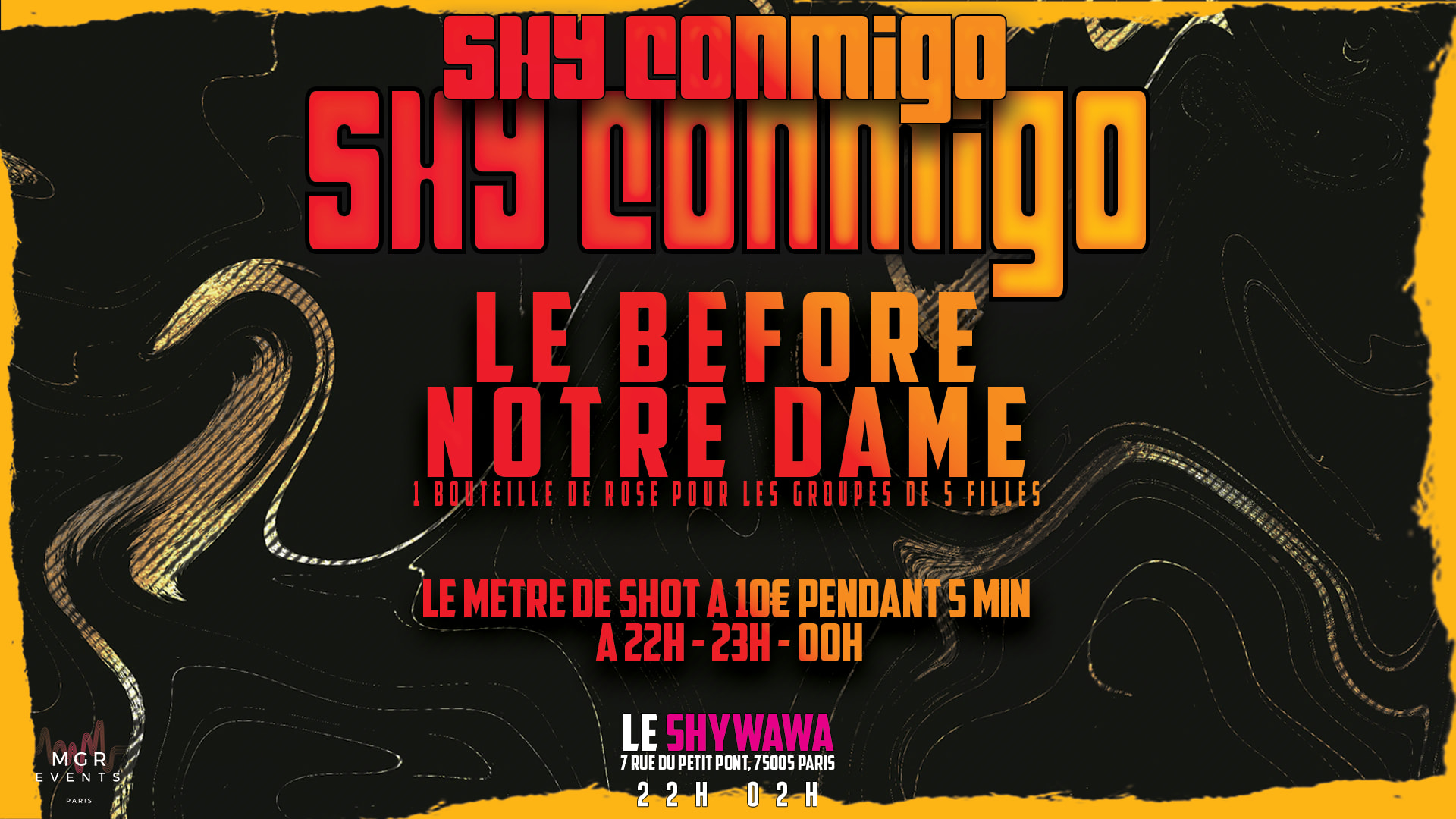 Before Notre-Dame #1