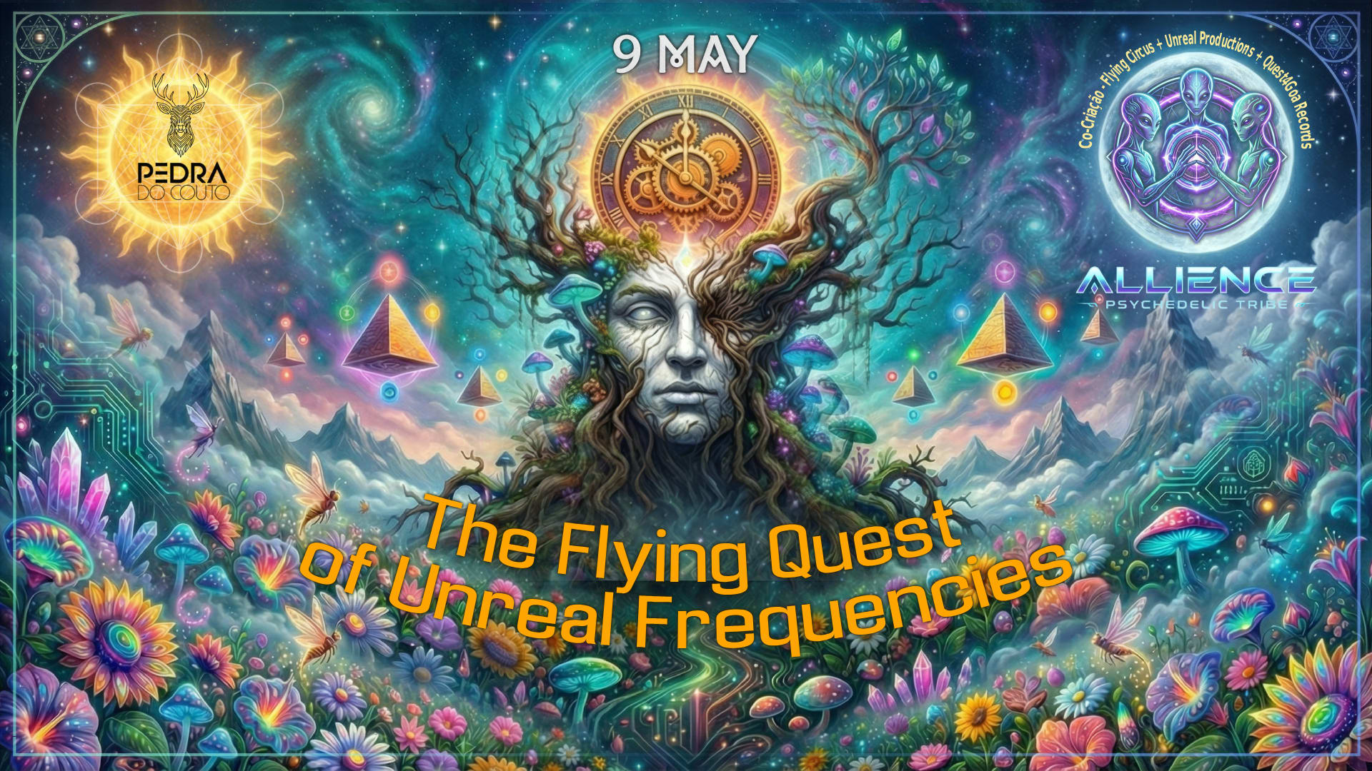The Flying Quest Of Unreal Frequencies