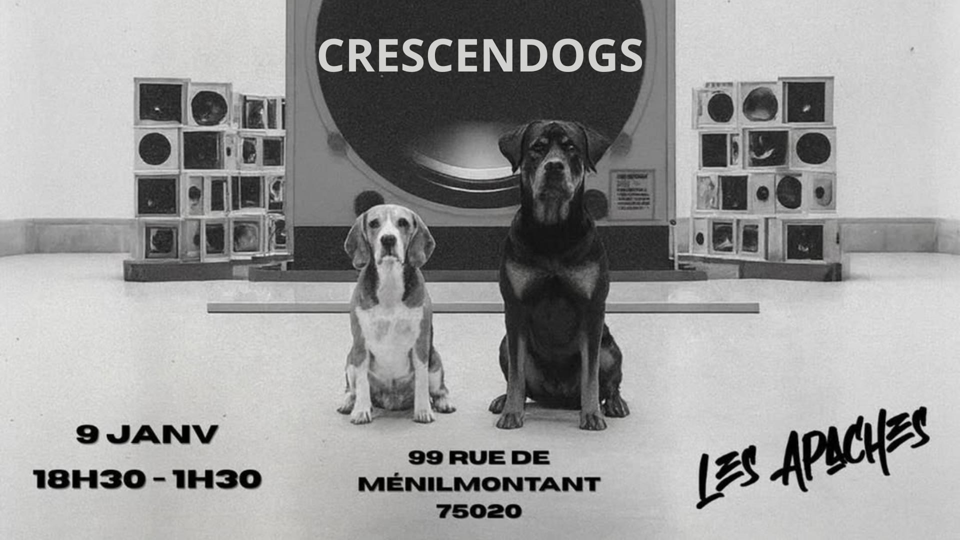 Crescendogs #2 - Dogs & Bass