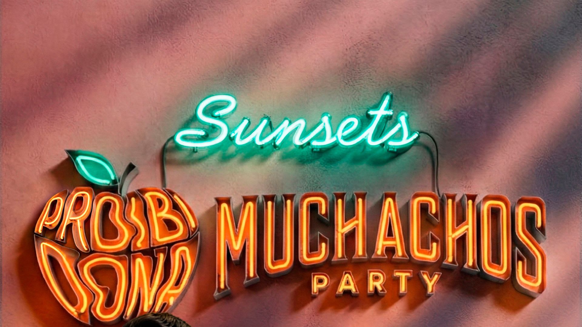 Muchachos Party Feat Proibidona