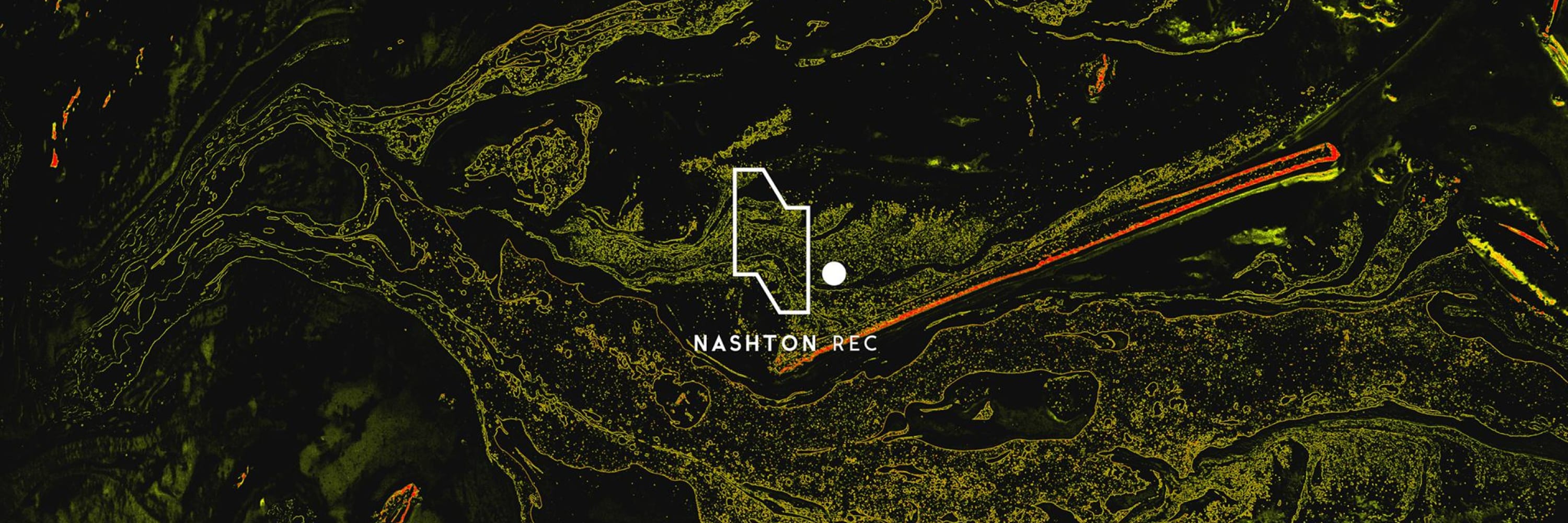 Nashton Records