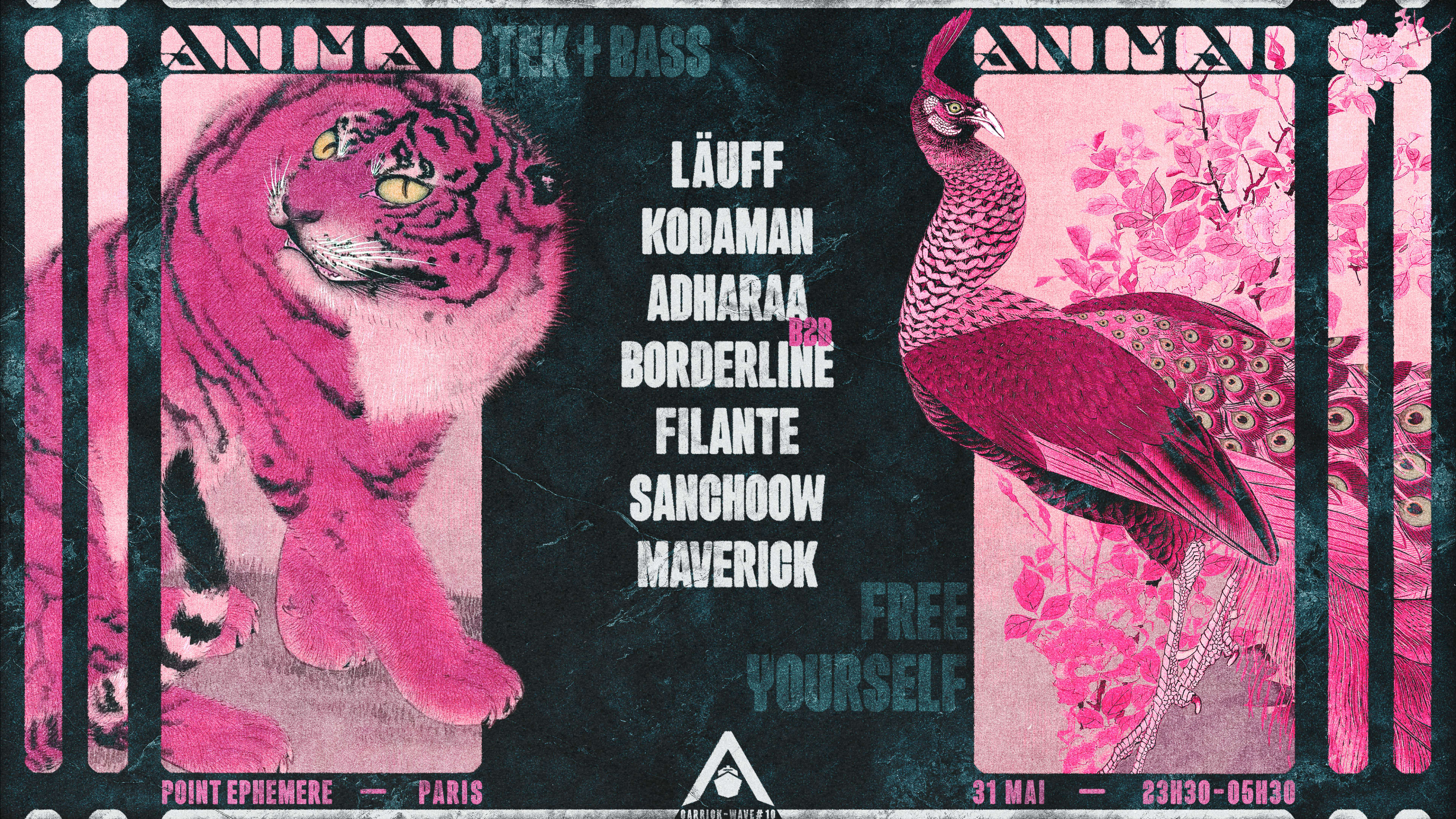 Wave#10 : Animal