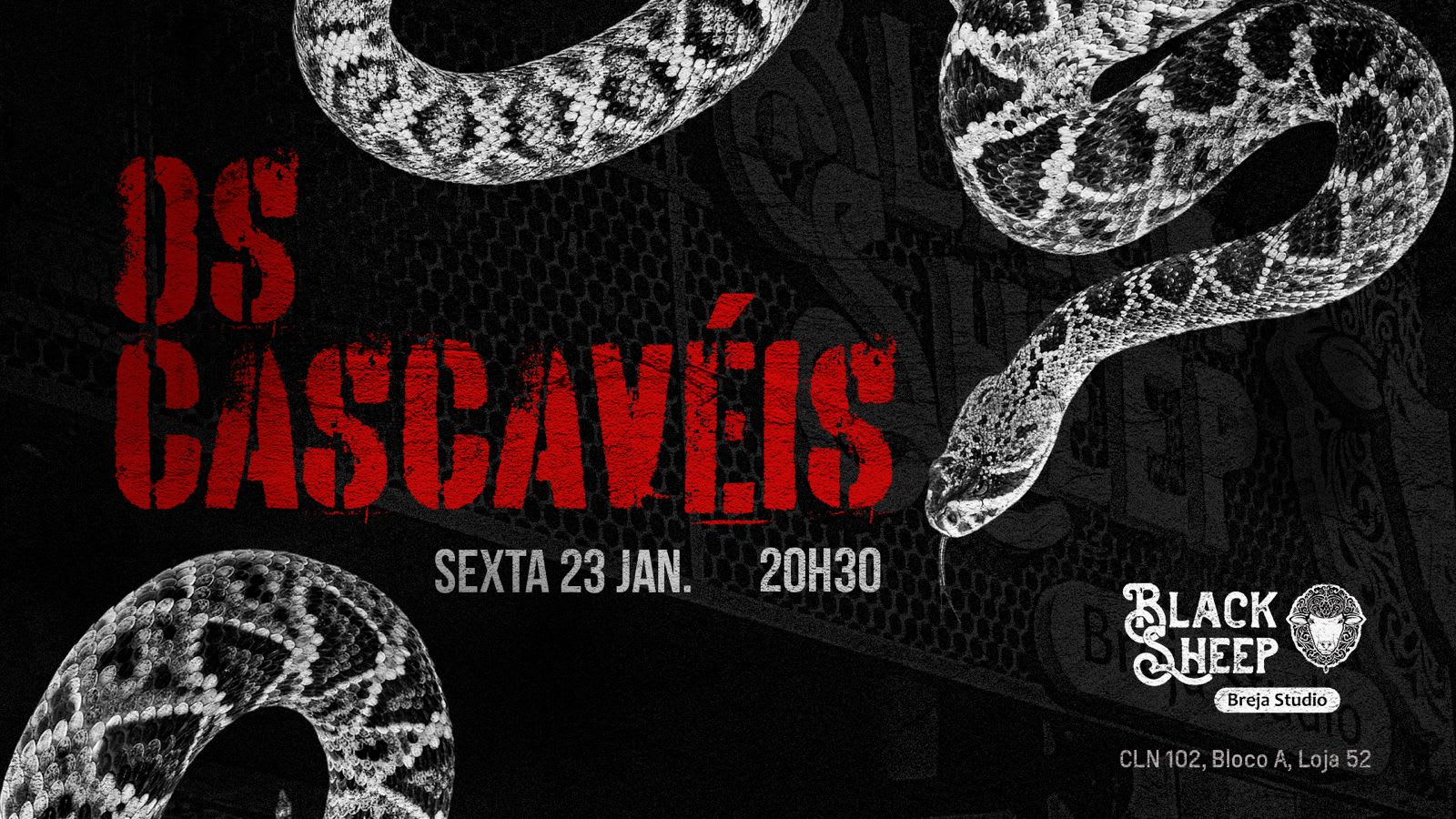 Cascavéis No Black Sheep