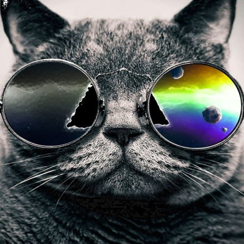 DJ RAZ
