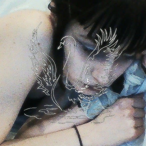dj_swanlake