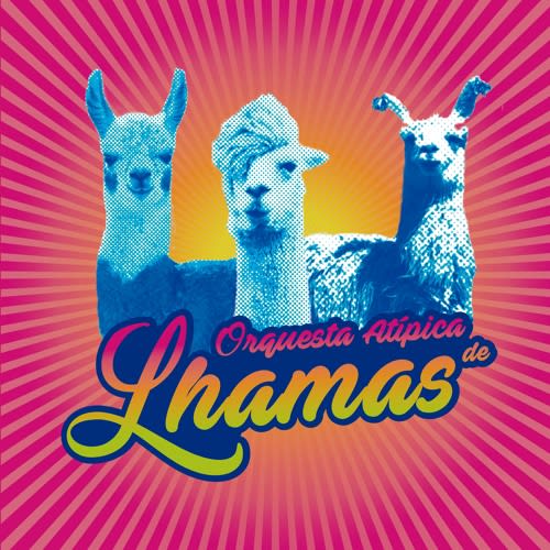 Orquesta Atípica de Lhamas