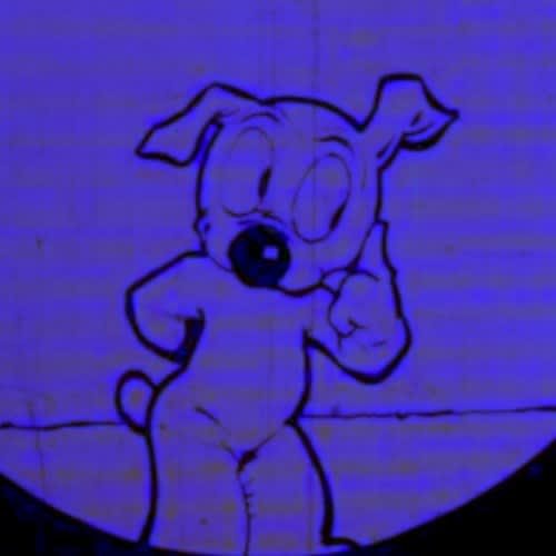 amalcrossing