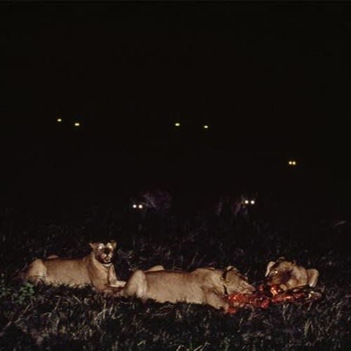 ANUBIS-XIII