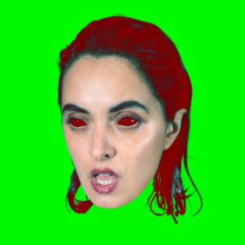 Nomicon