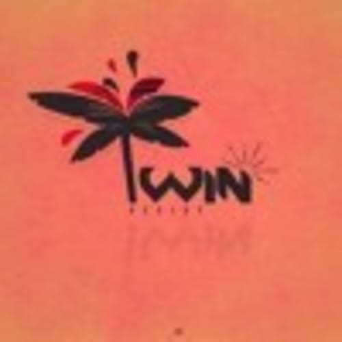 Dj Twin FWI