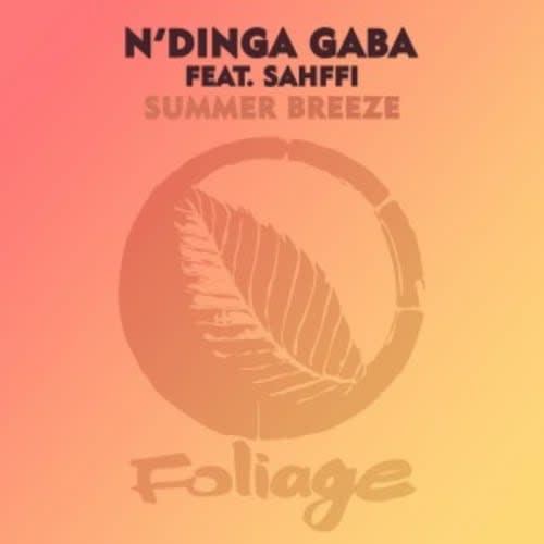 N'dinga Gaba