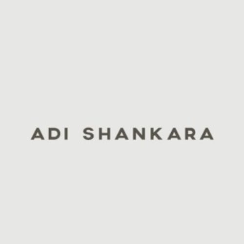Adi Shankara