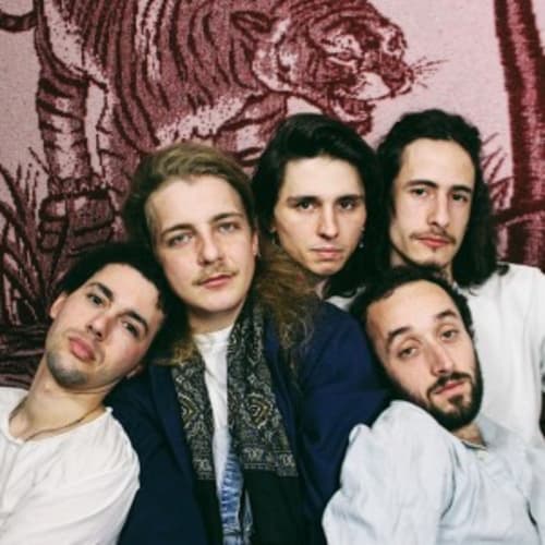The Barking Spiders