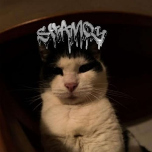 SHAMOY