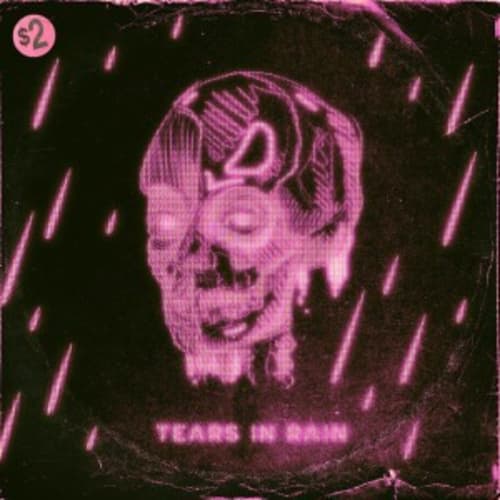 Tears In Rain