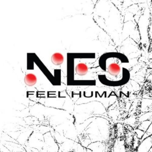 NES