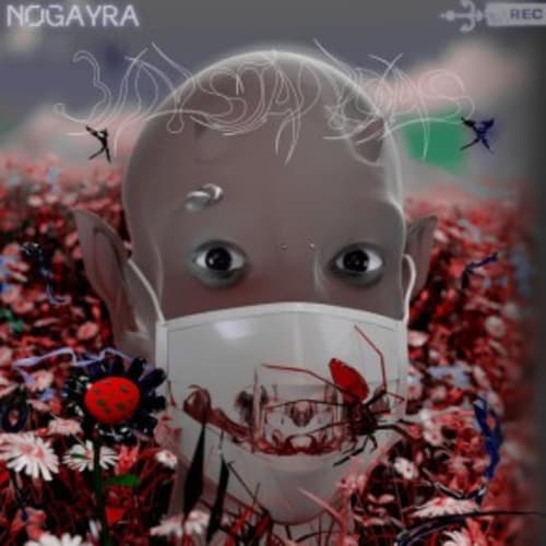 Nog4yra