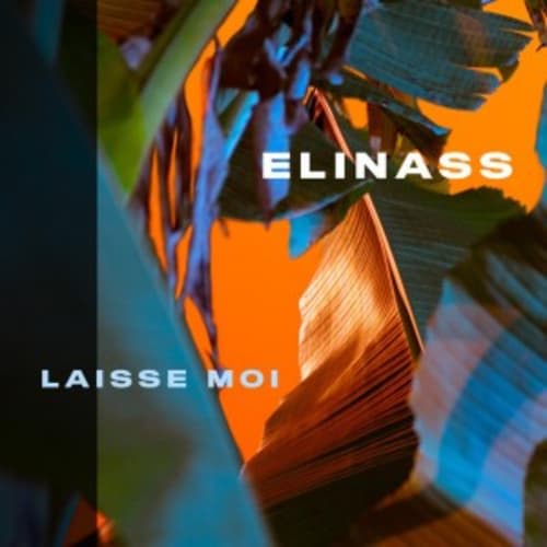 Elinass