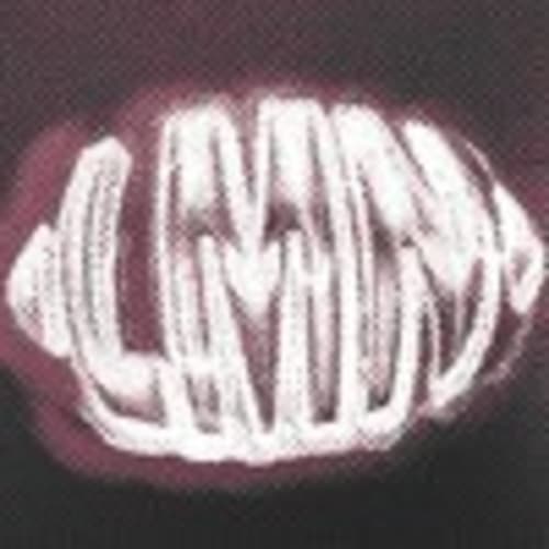 LMN