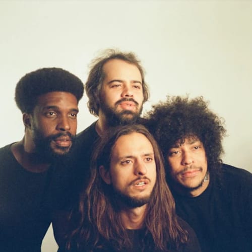 Boogarins