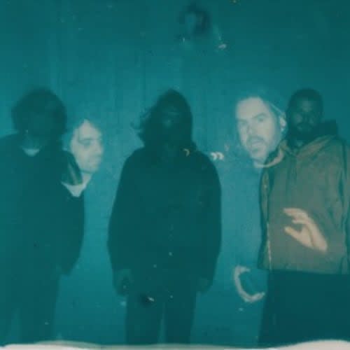 Suuns
