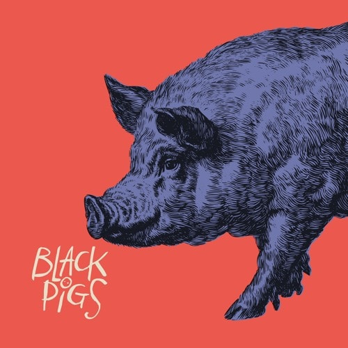 BLACK PIGS