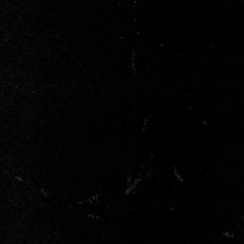 blackartel records
