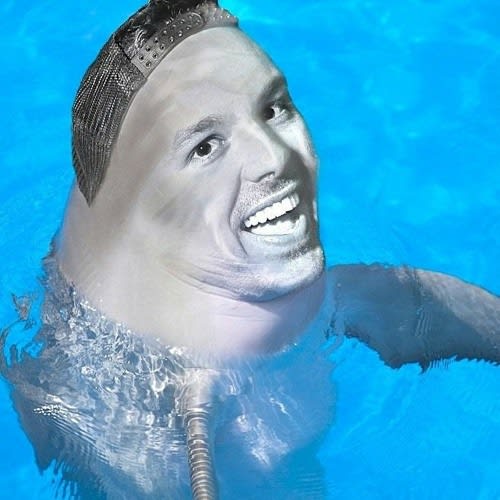 Dalfin 🐬