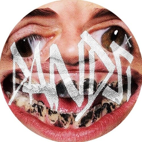 DANDSI