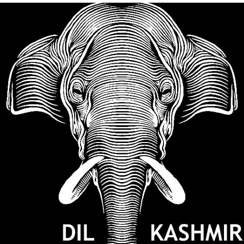 DIL KASHMIR