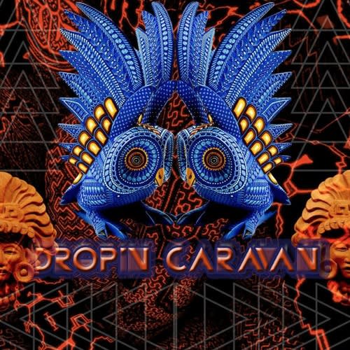 *Drop In Caravan*
