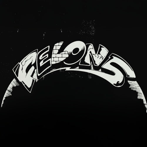 Felon5
