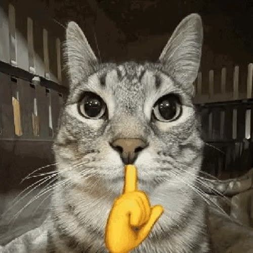 GATO