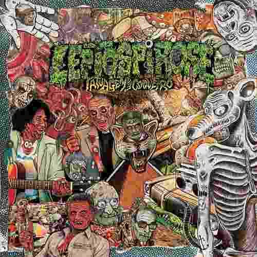 leptospirose