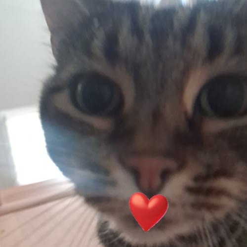 Luzz