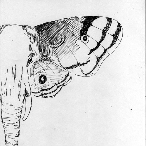 MeninoElefante