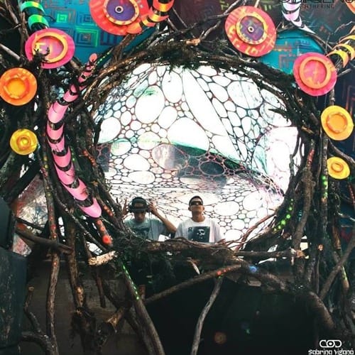 Neurosynthesis (Woo-Dog Recordings)(Nature Recs)