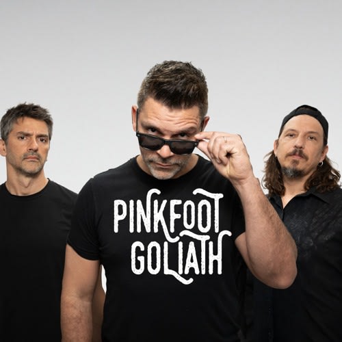Pinkfoot Goliath