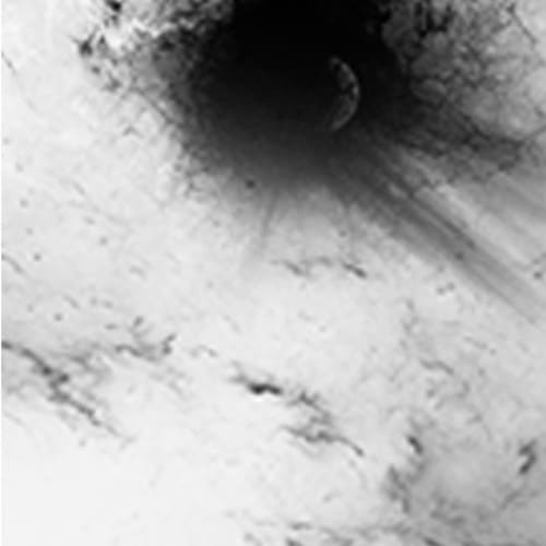 Posthuman/fr