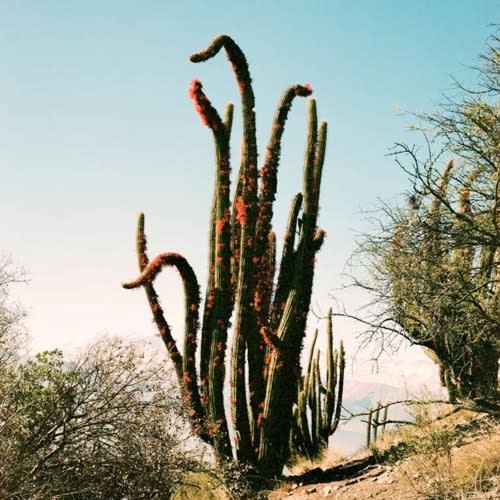 Pueblo Fantasma
