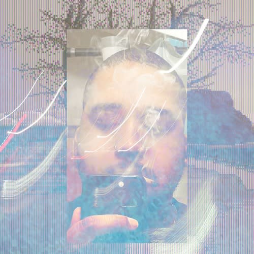 Swoozydolphin